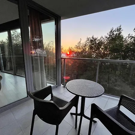 Dune Luxury ミエルノ